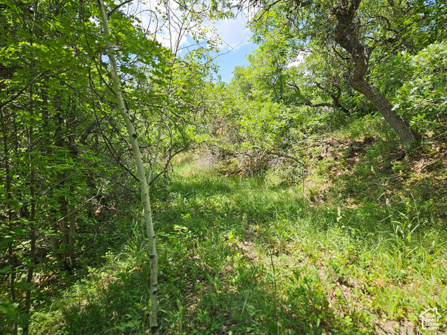 Property Photo: 844 E Edgewood Dr 844 UT 84629