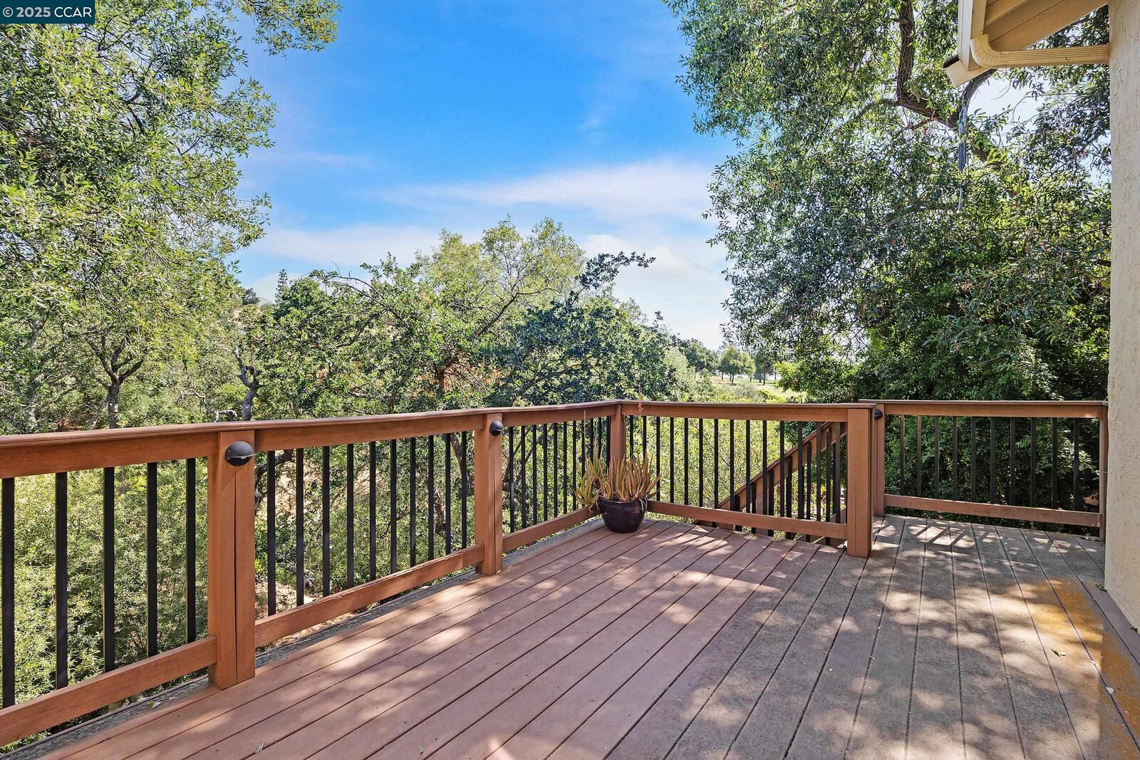Property Photo:  14 Saint Louis Ln  CA 94523 