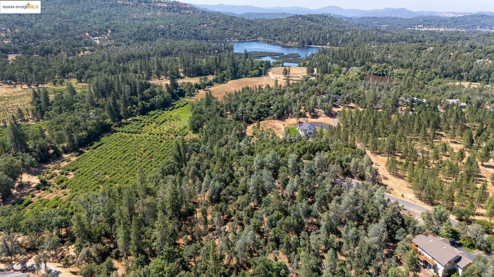 14464 Lorraine Lane  Sonora CA 95370 photo