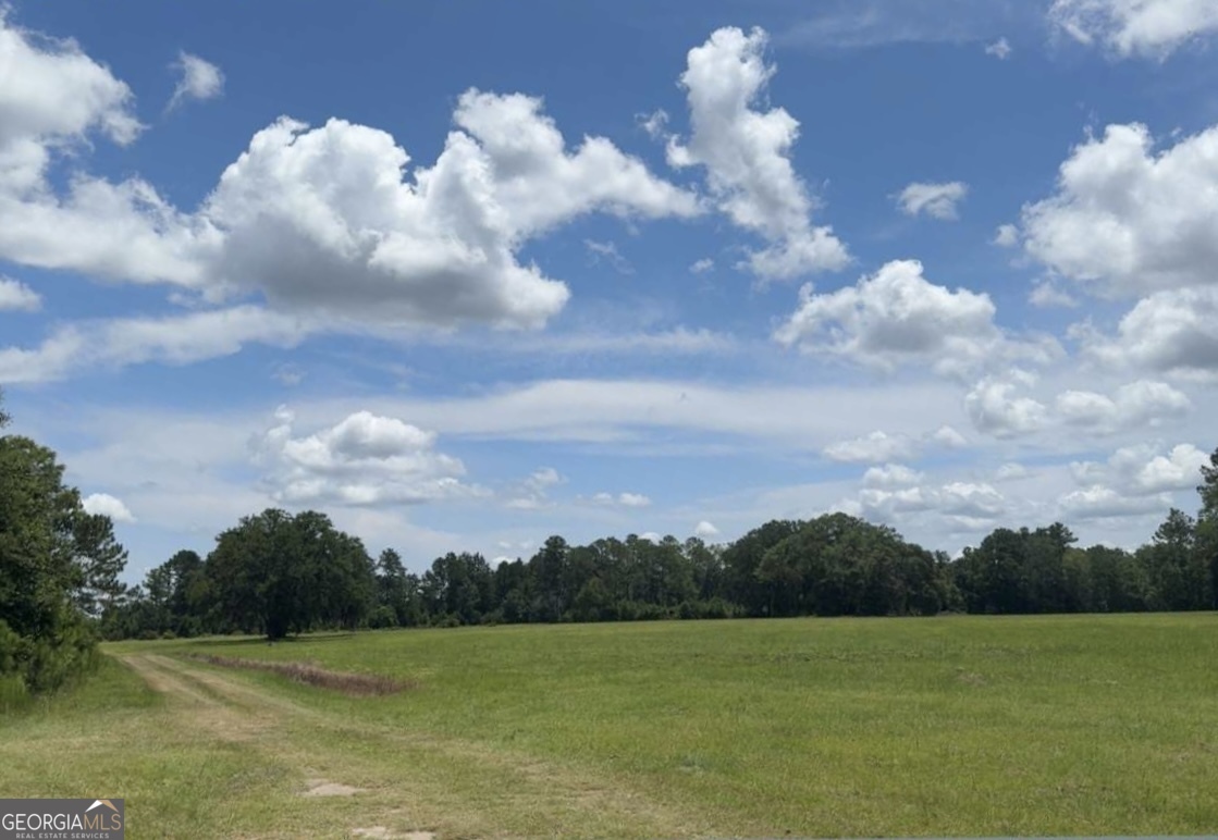 Property Photo: 35+ Acres Wells Road GA 31313