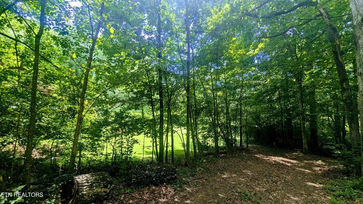 Property Photo: 101 Concord Rd TN 37830