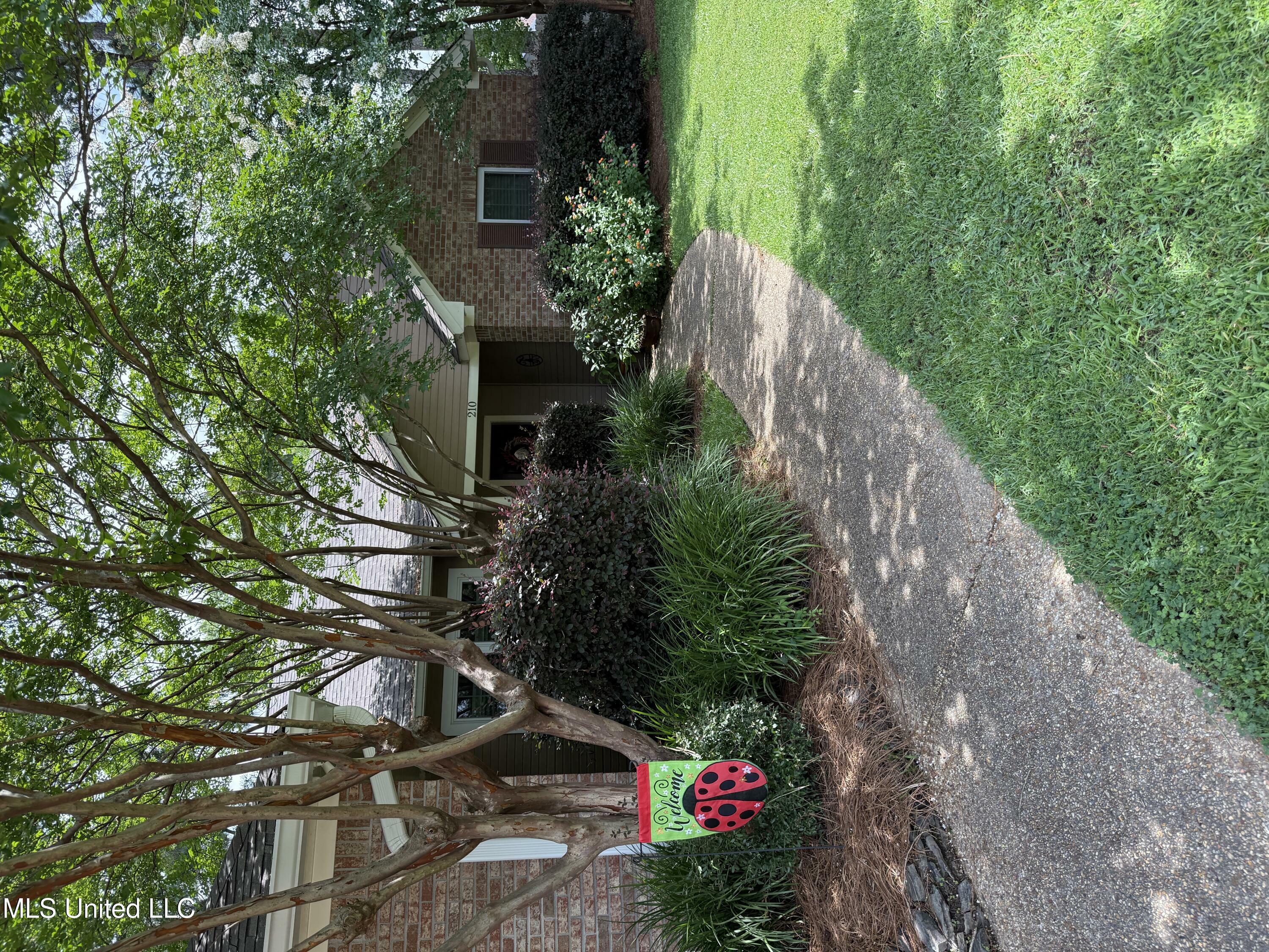 Property Photo: 210 Laurel Oak Cove MS 39047
