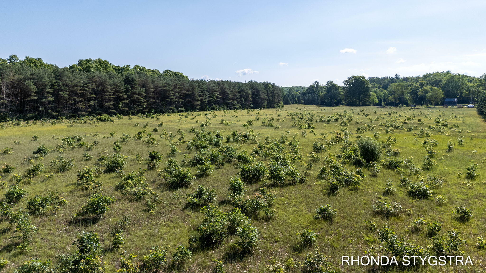 Property Photo: Vl 123rd Avenue MI 49408