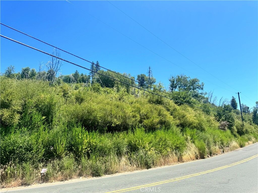 Property Photo:  11030 Loch Lomond Road  CA 95461 