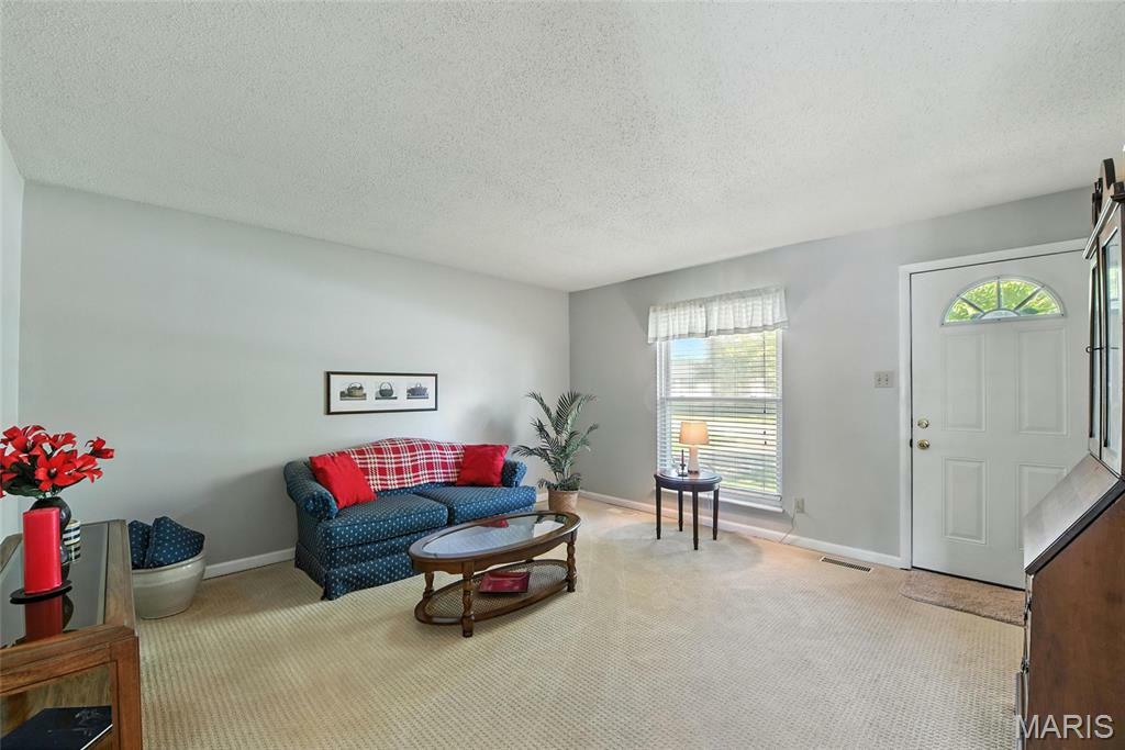Property Photo: 542 White Birch Way MO 63042