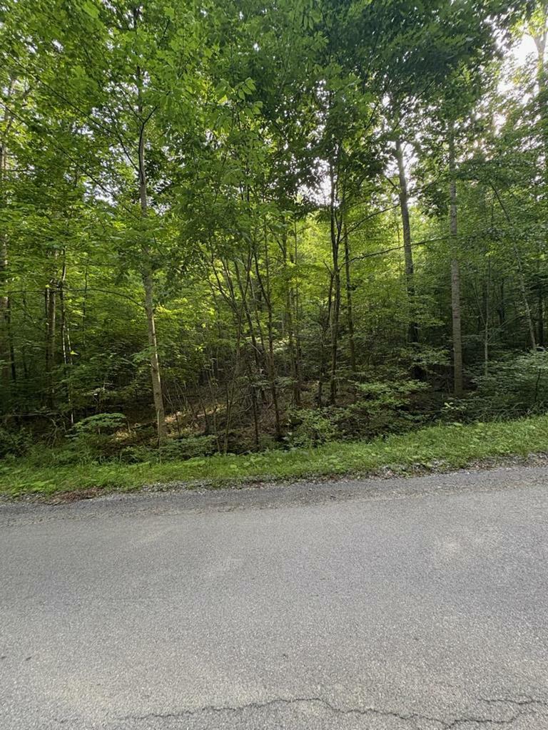 Property Photo: 0 Sandlick Road WV 24740