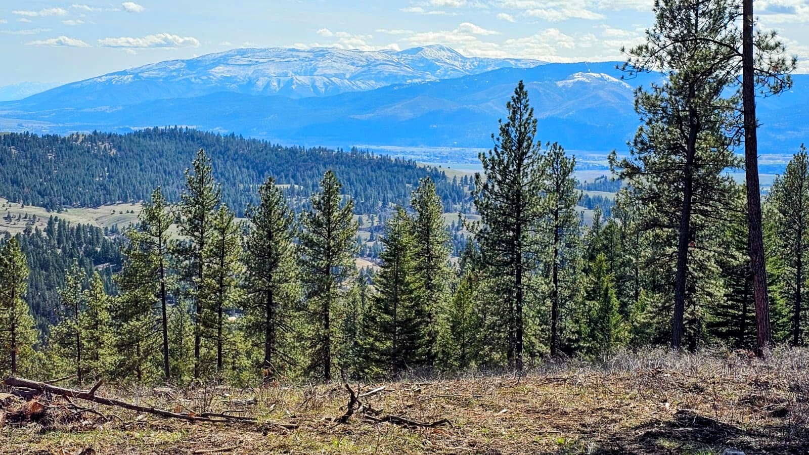 Property Photo: 3485 Ridge View Road MT 59808