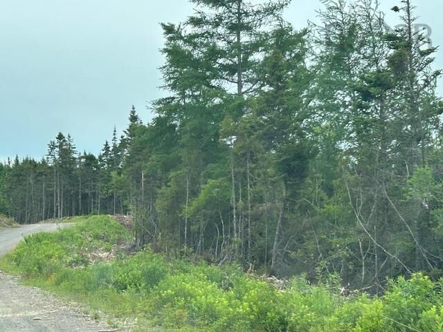 Salmon River Road — photo 1