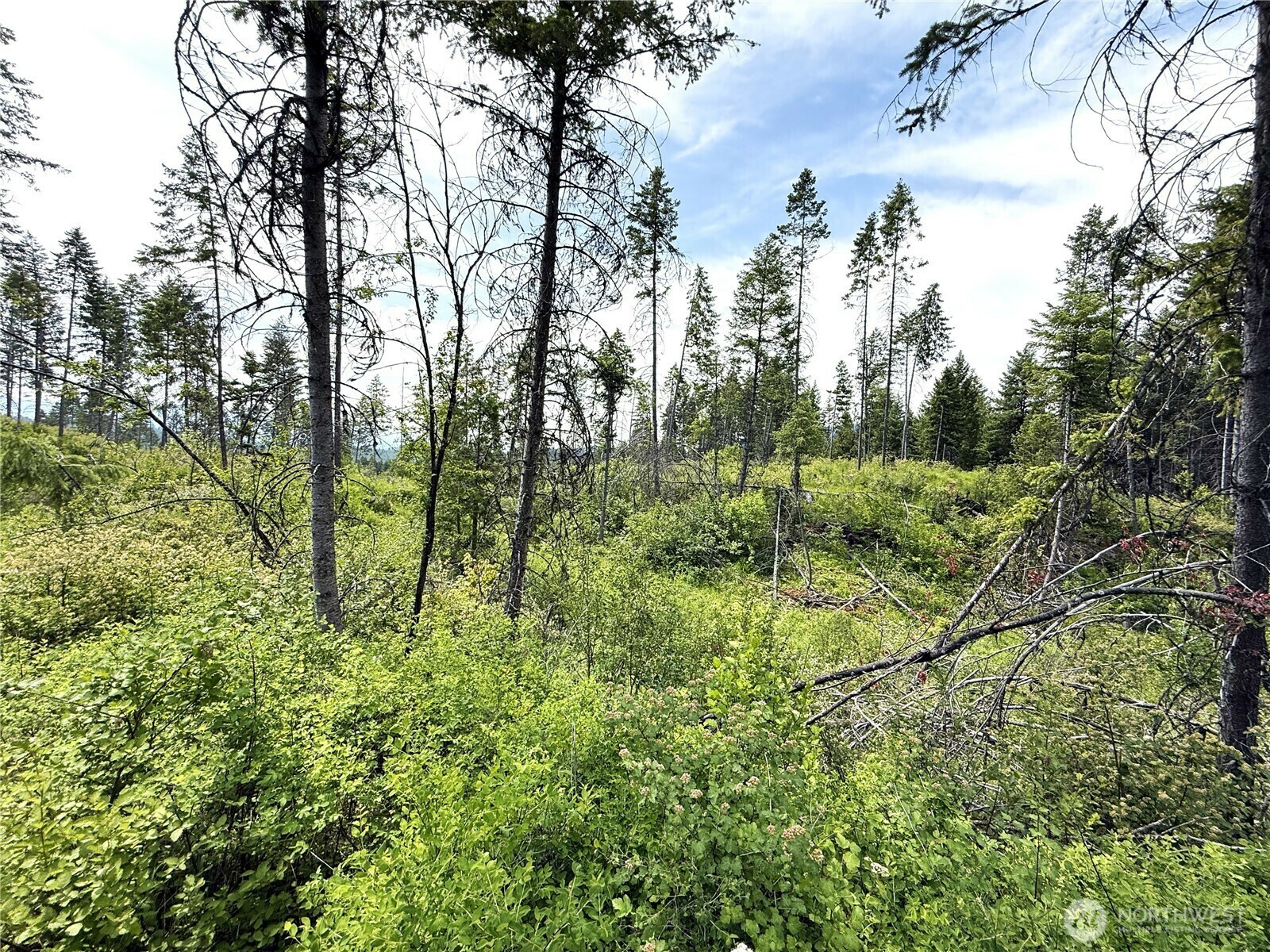 Property Photo: 0 Lot 4 Rockabye Lane WA 99118
