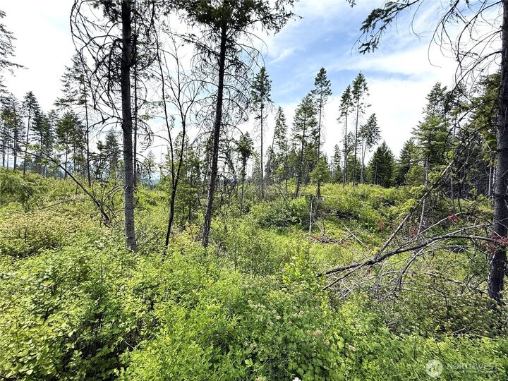 Property Photo:  0 Lot 4  Rockabye Lane  WA 99118 