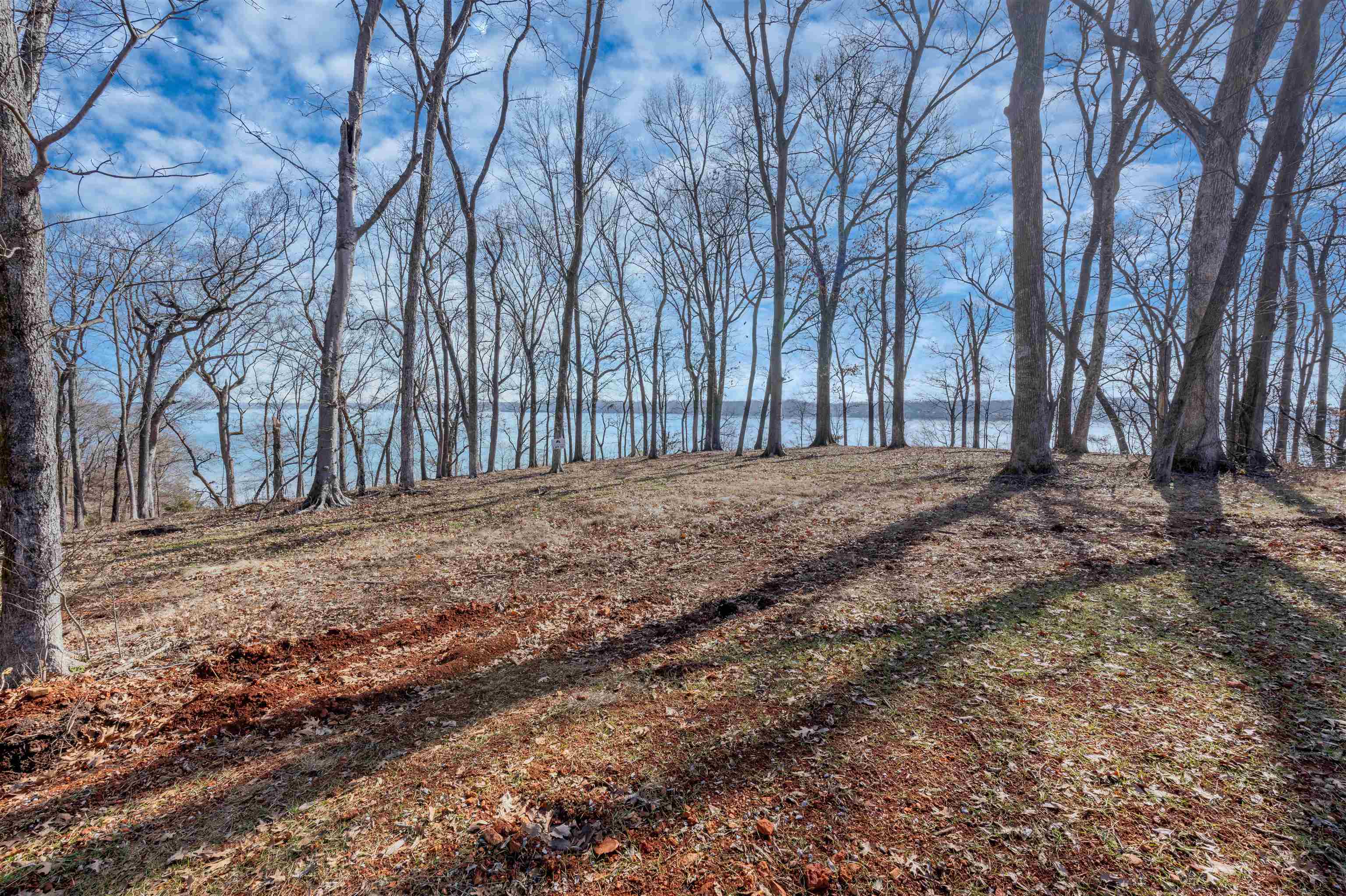 Property Photo: 00 Highland Cove AL 35630 - FLORENCE