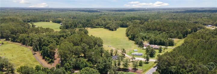 Property Photo:  35+ Acres Wells Road  GA 31313 