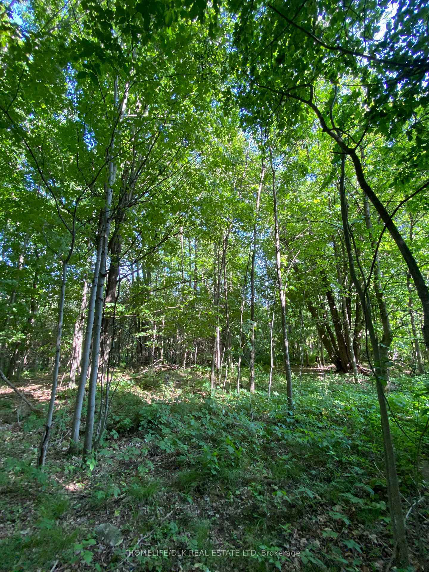 Property Photo: 00 Groveton Road S ON K0E 1X0