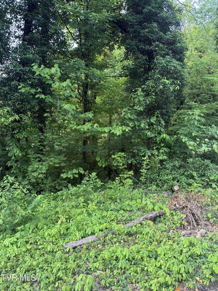 Lot 14 Ashley Street  Kingsport TN 37664 photo