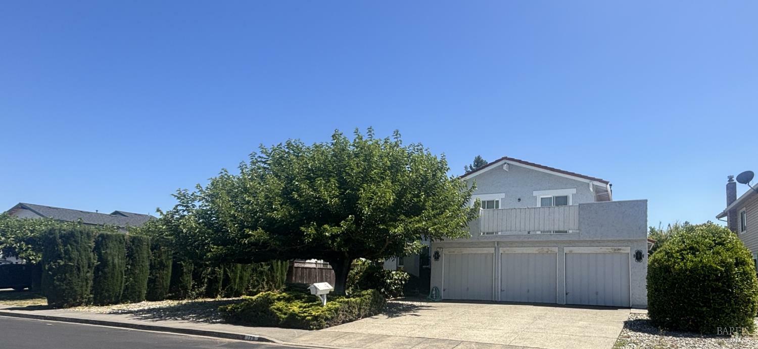 179 Fescue Way  Rohnert Park CA 94928 photo