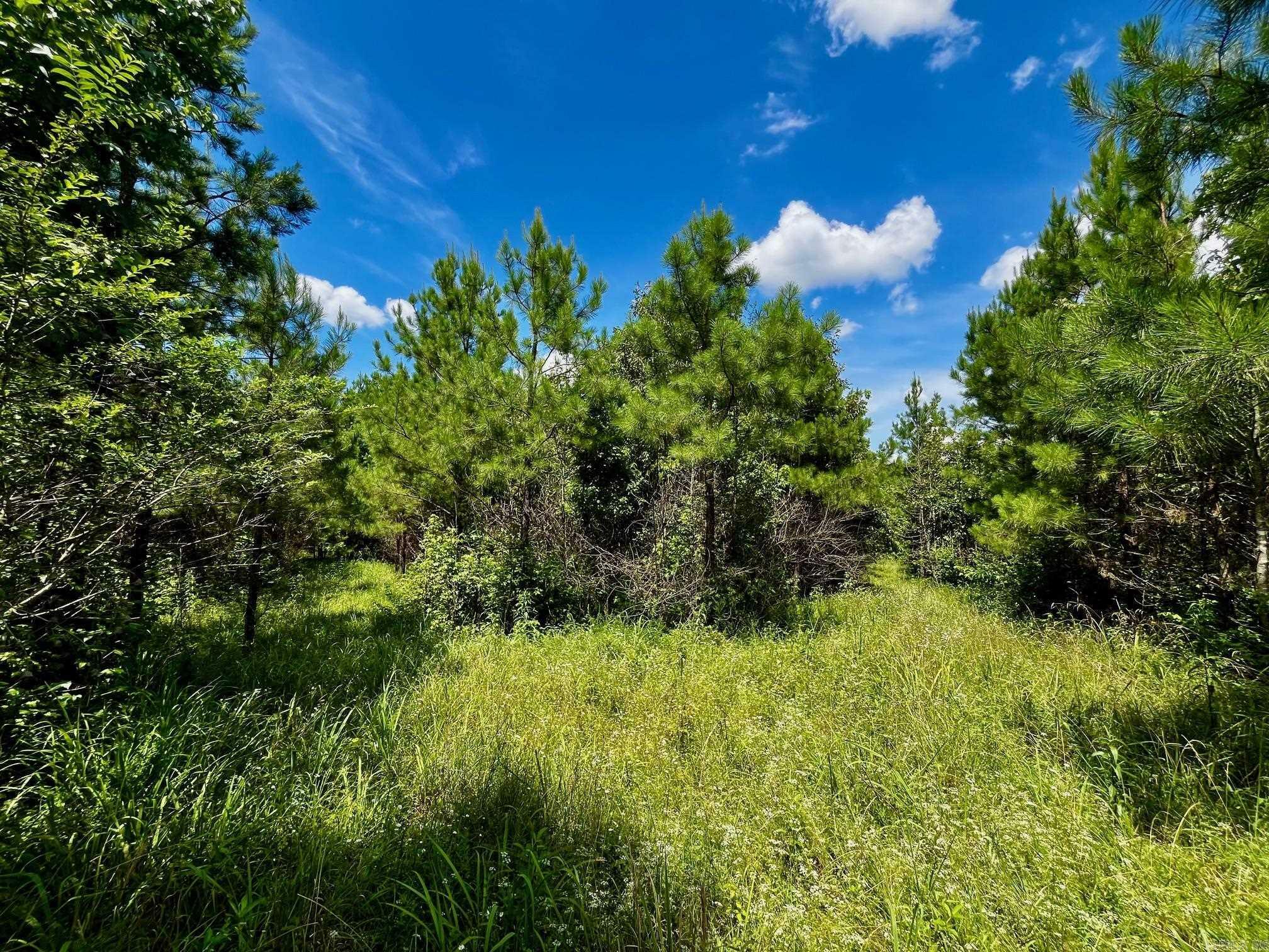 Property Photo: 000 E Colonel Glenn Road AR 72210