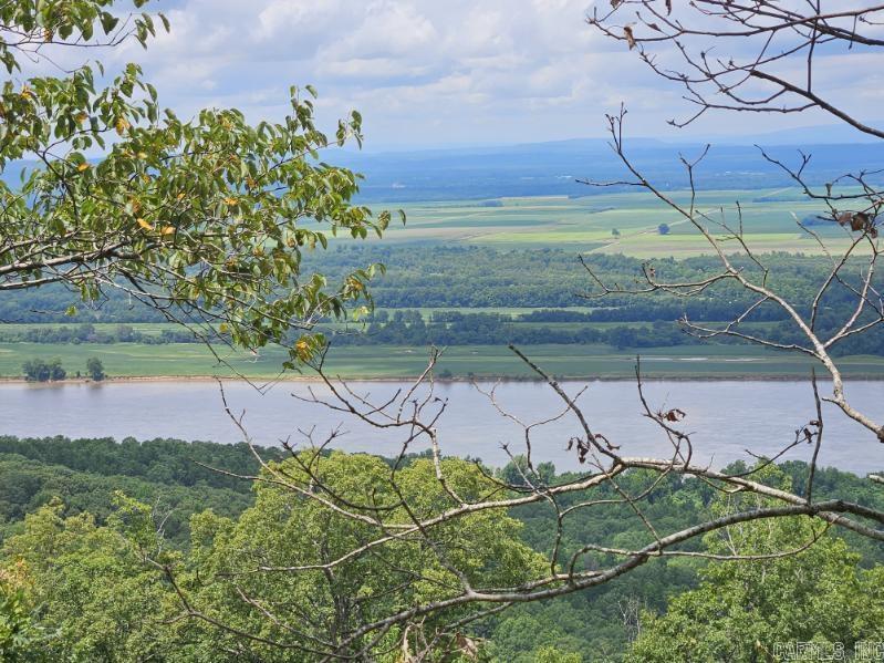 Property Photo: 160 Acres America Road AR 72110
