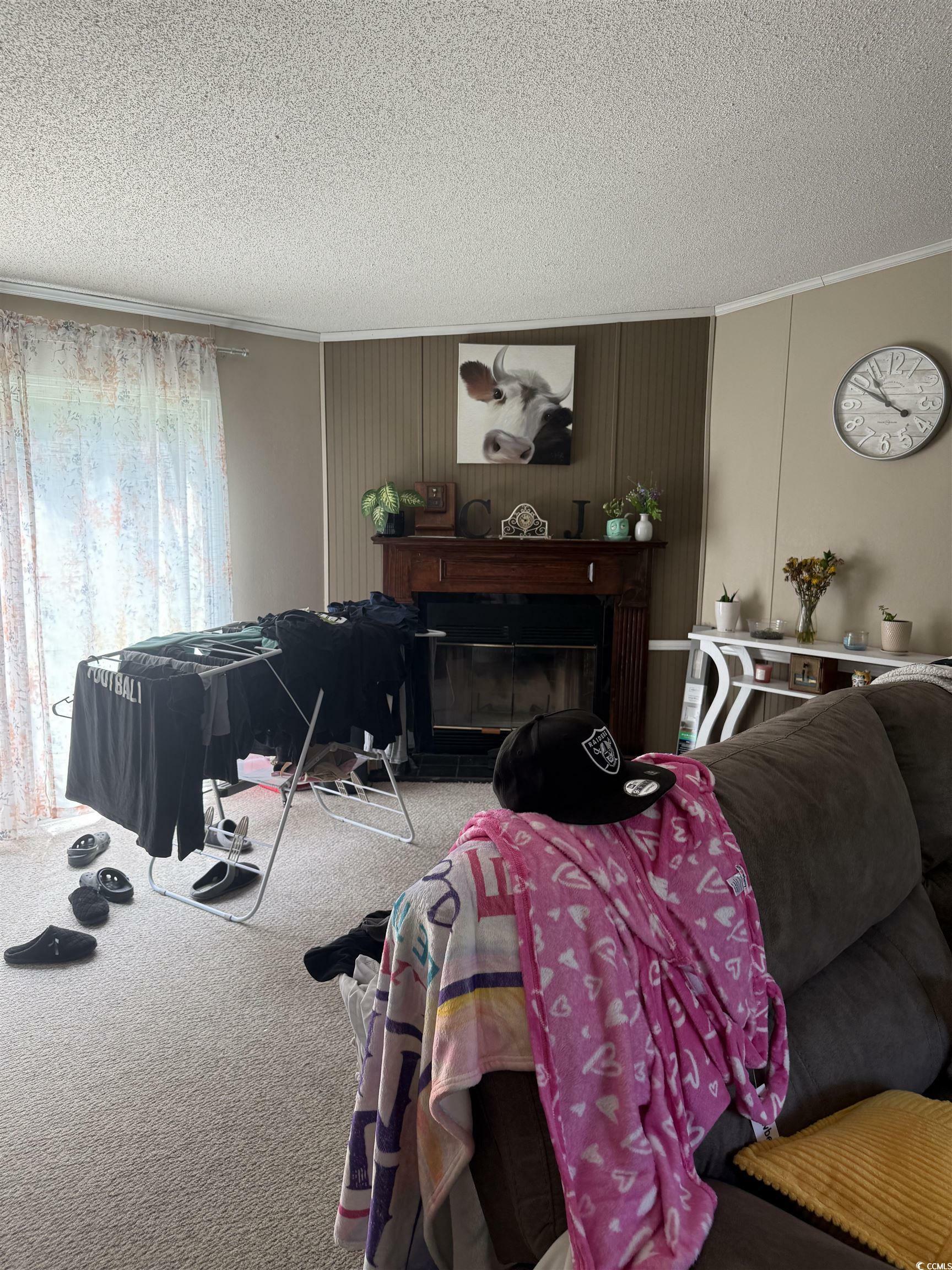 Property Photo: 274 Morris Rd. SC 29526