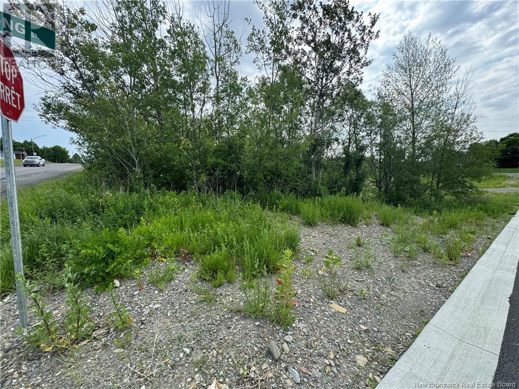 Property Photo:  Evangeline Street  NB E3Y 1B9 