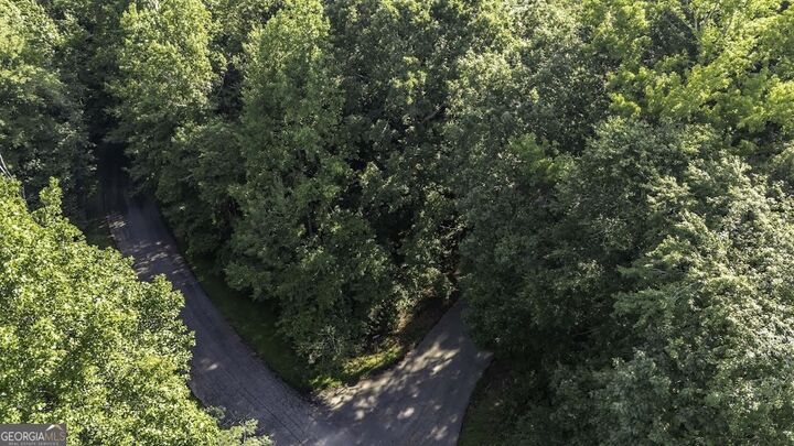 Property Photo: 0 Cambridge Lane GA 30110