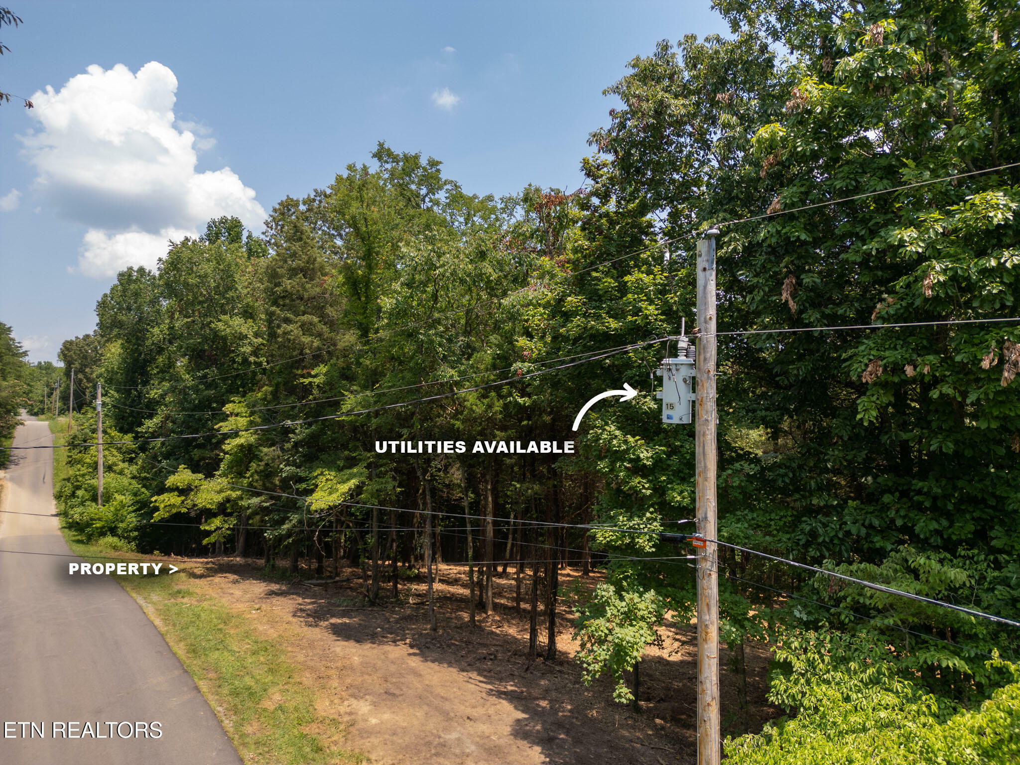 Property Photo: 171 Pinecrest Drive TN 37774