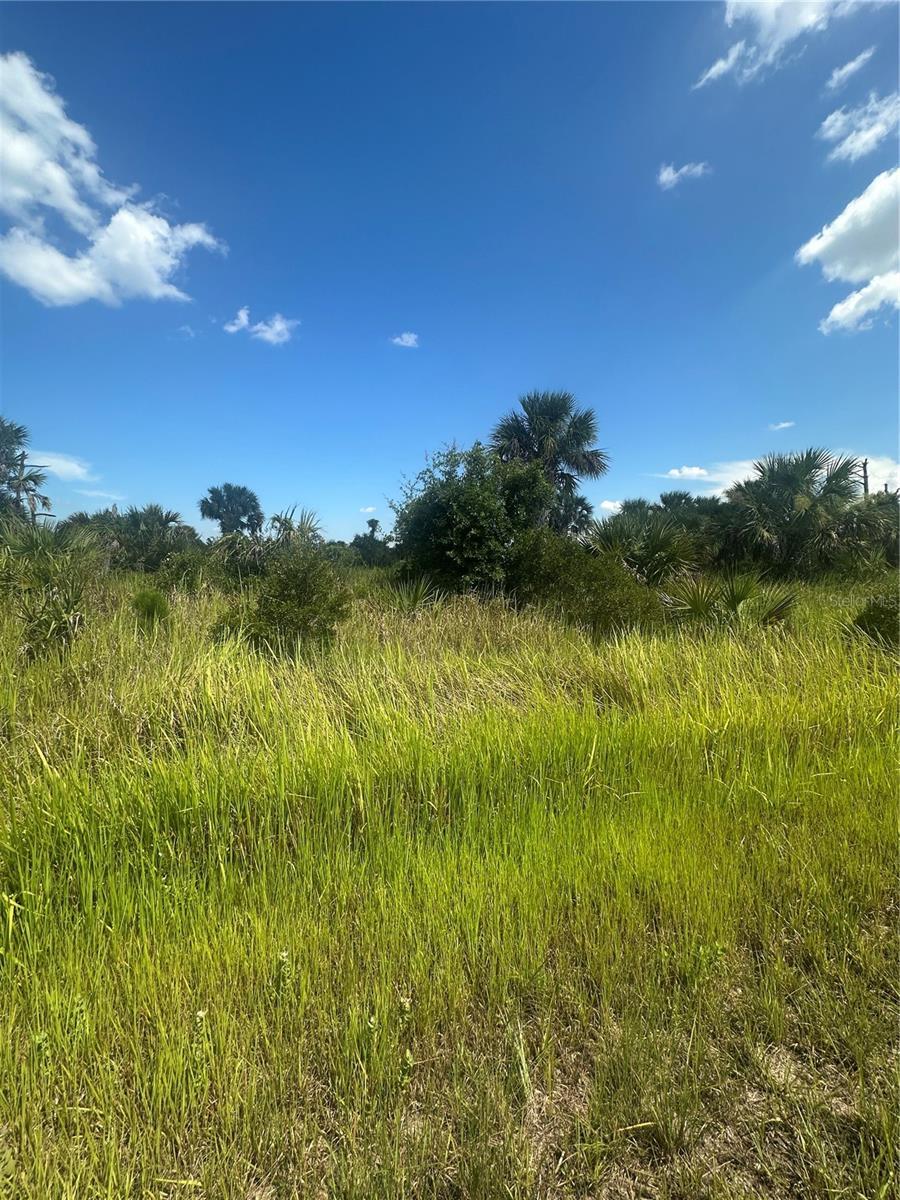 Property Photo: Boskoop Road FL 34288