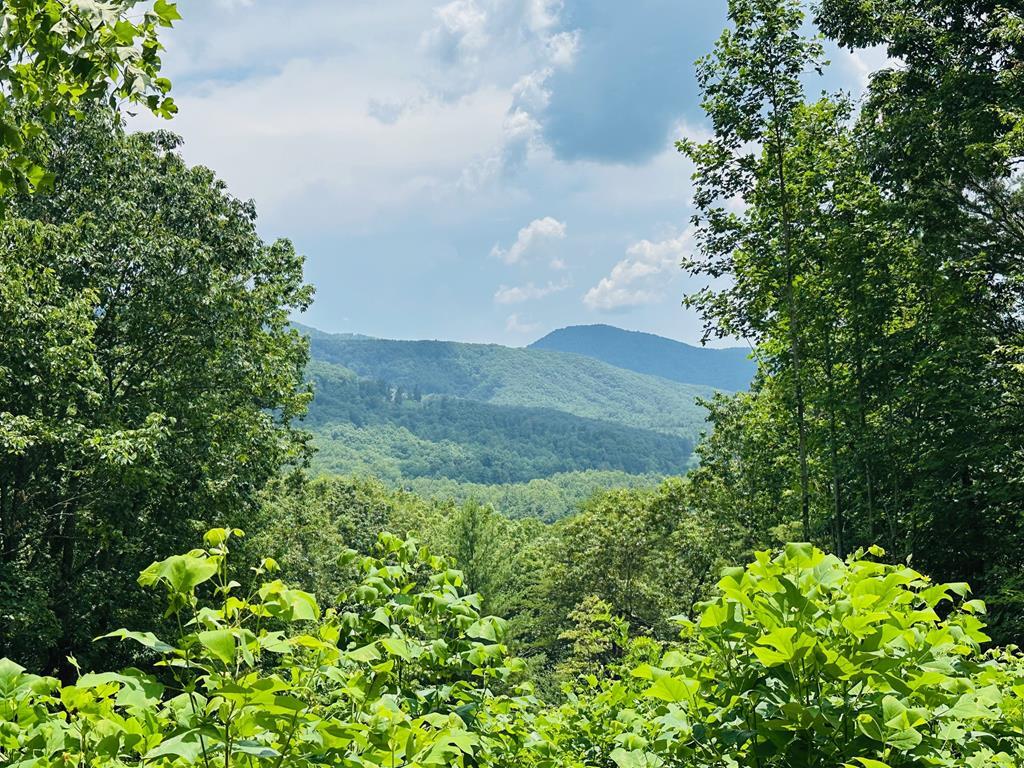 Property Photo:  Lot 14 View Ridge Trail  NC 28906 