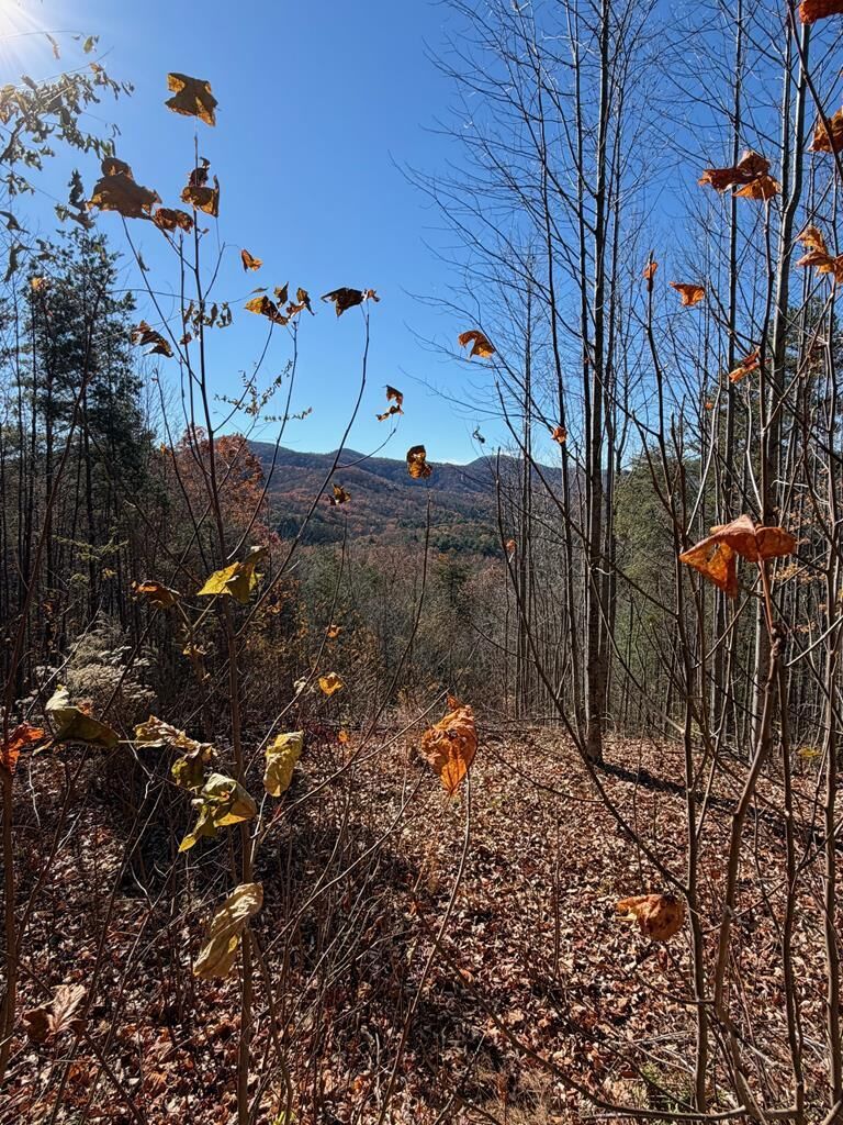 Property Photo:  Lot 14 View Ridge Trail  NC 28906 