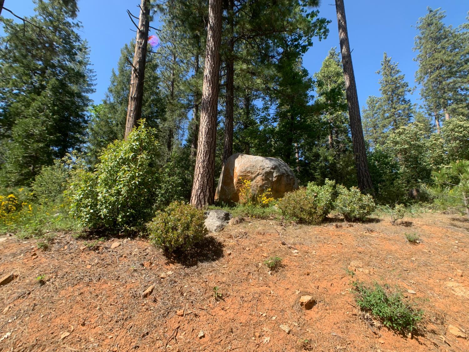 Property Photo: 11356 Constitution Court CA 95959