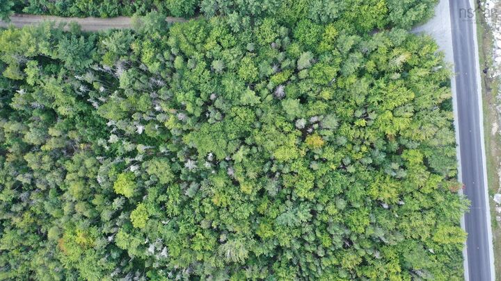 Property Photo:  Lot 113 Lake Drive  NS B0T 1T0 