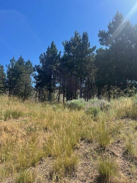 Property Photo: 1415 Red Bud Drive OR 97601