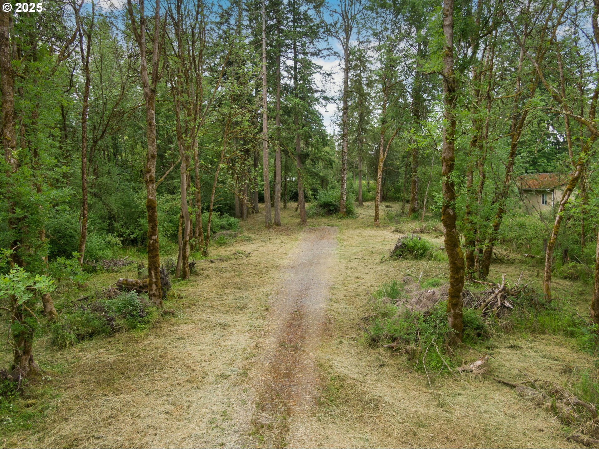 Property Photo:  NE 199th St  WA 98642 