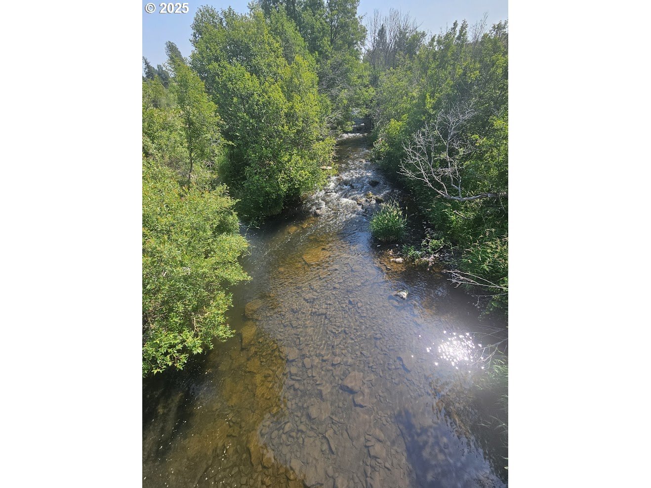 Property Photo:  Olson Rd  WA 98613 