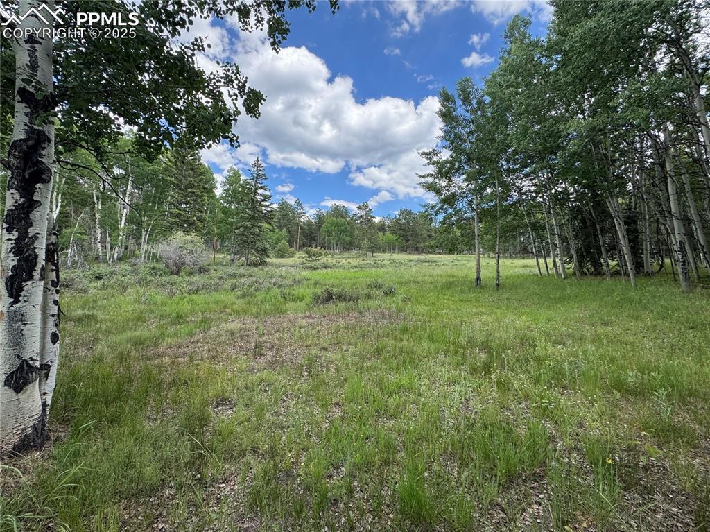 Property Photo: 117 Vagabond Creek Terrace CO 80827