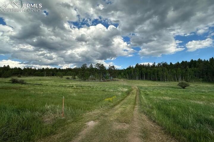 Property Photo: 957 Crystal Peak Drive CO 80827