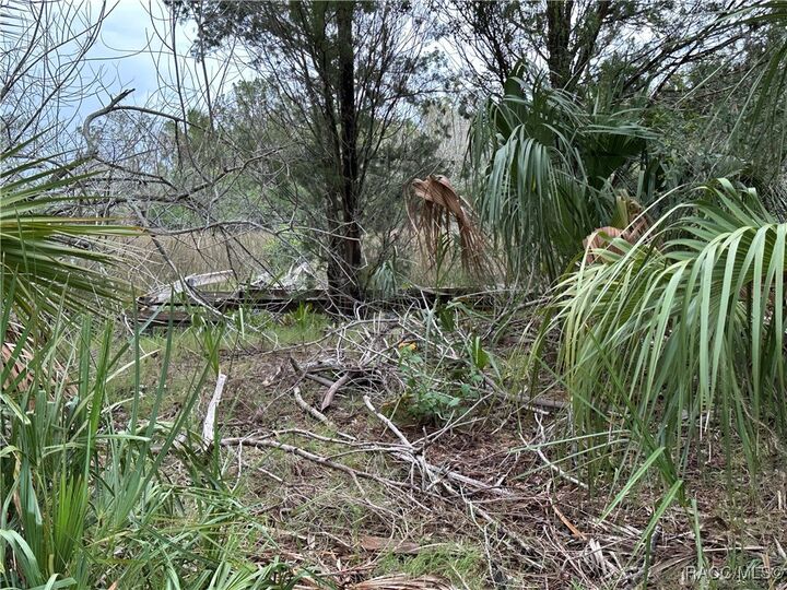 Property Photo:  12345 W Standish Drive  FL 34448 