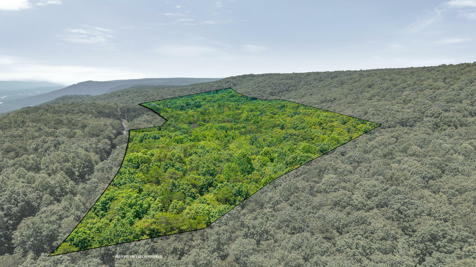 Property Photo: 59.73 Ac Windridge Drive TN 37327