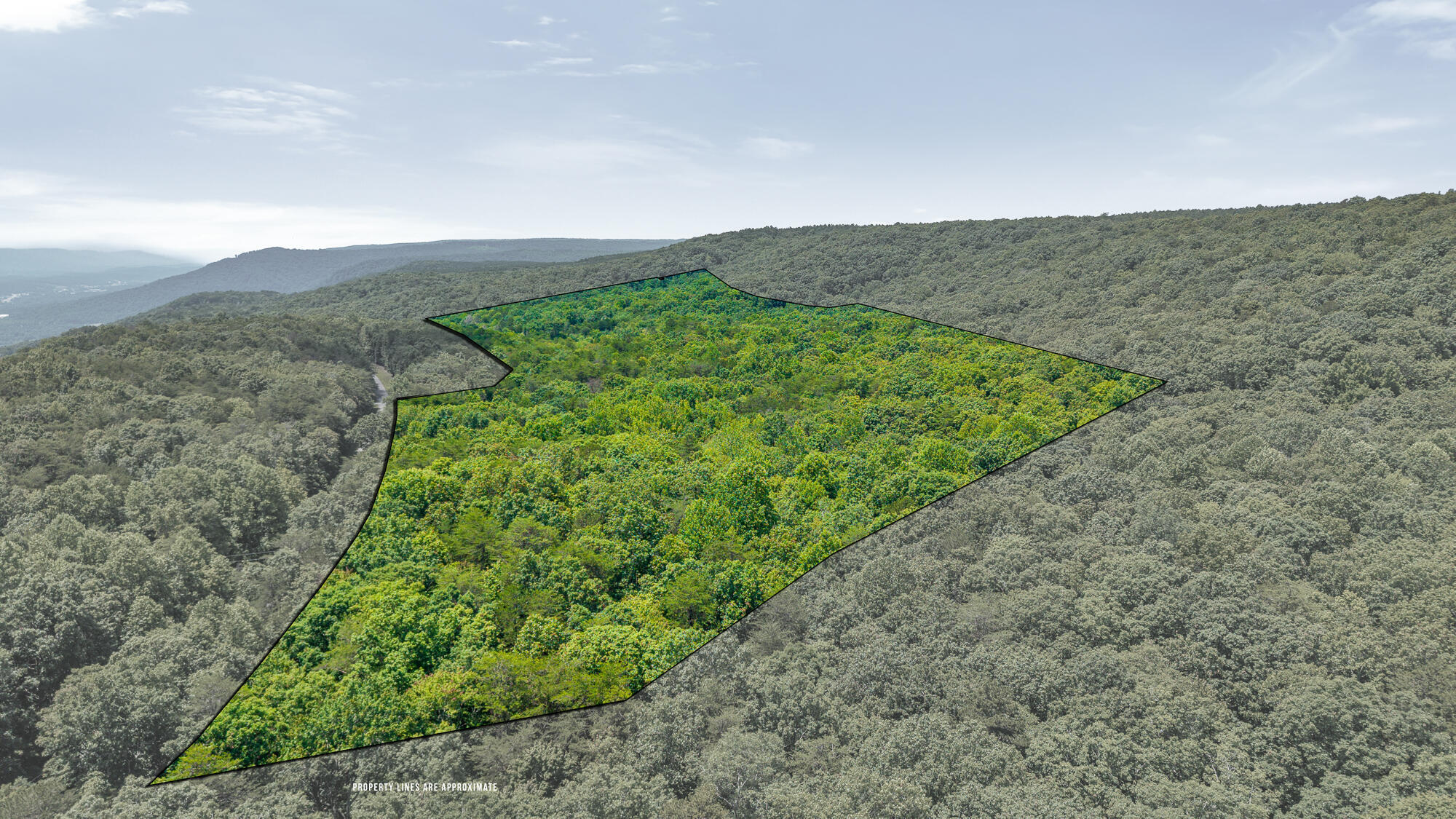 Property Photo:  59.73 Ac Windridge Drive  TN 37327 