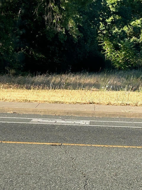 Property Photo:  5128 Shasta Dam Boulevard  CA 96019 