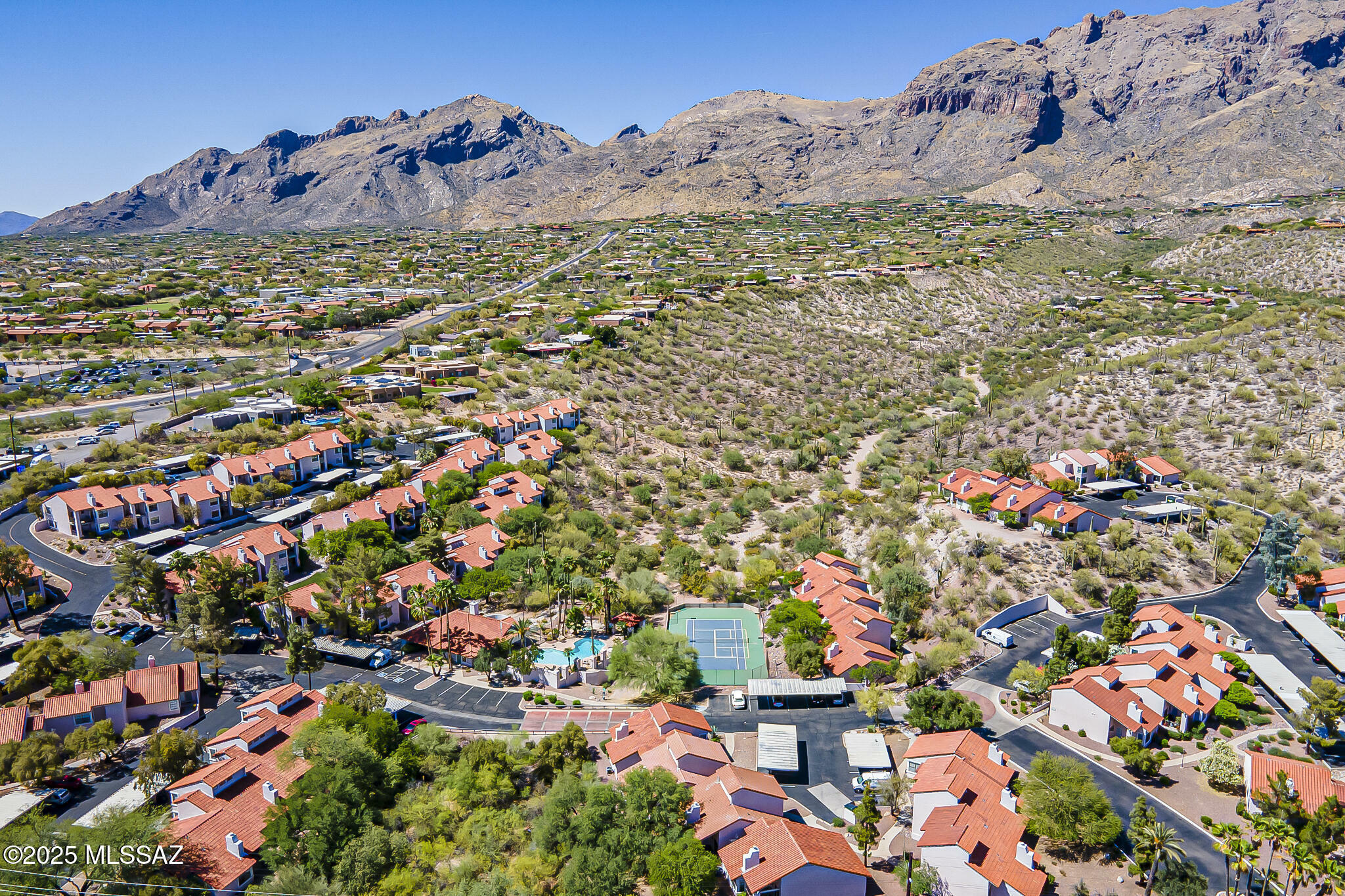 Property Photo:  6490 N Tierra De Las Catalinas 94  AZ 85718 