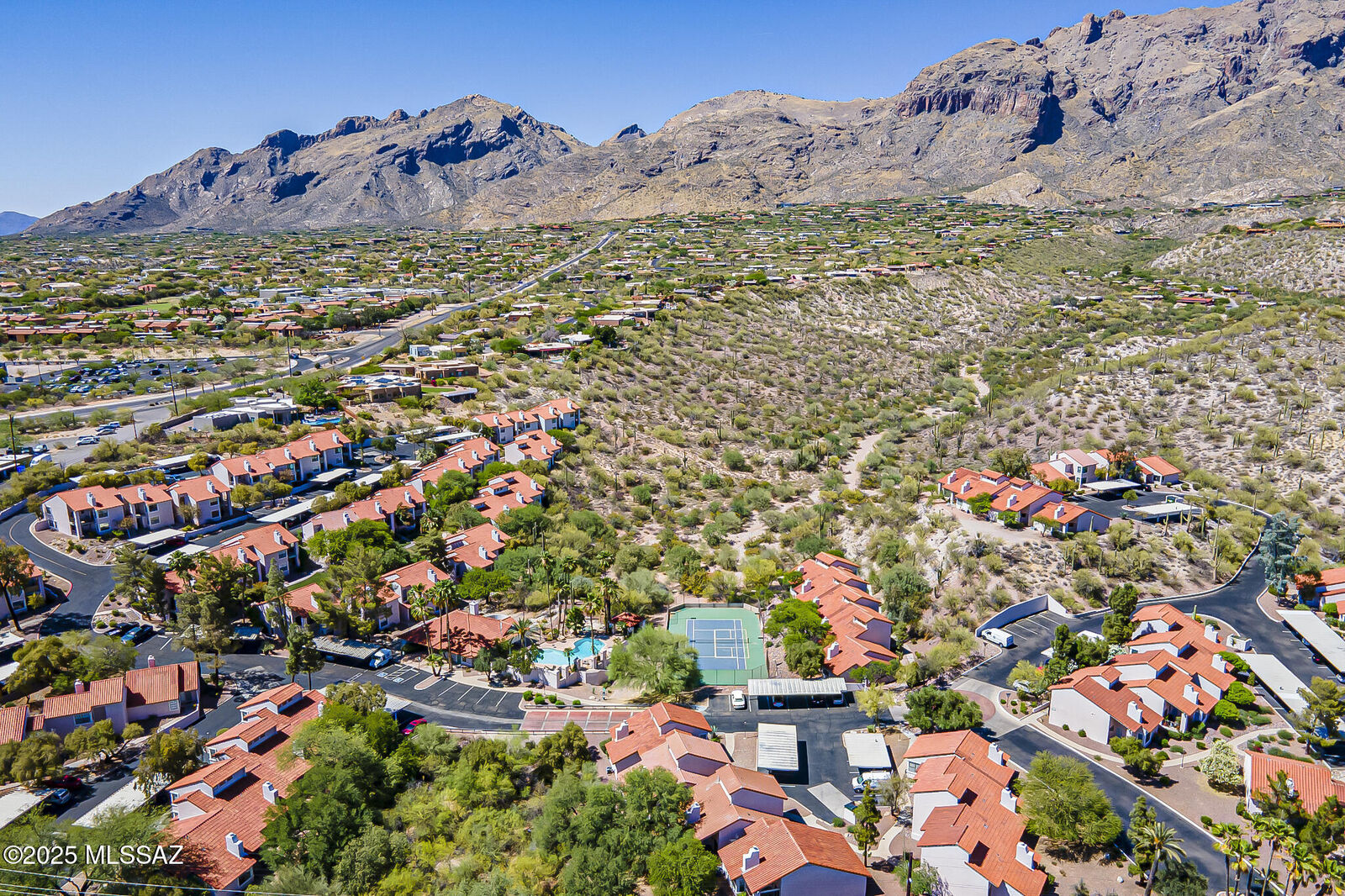Property Photo:  6490 N Tierra De Las Catalinas 94  AZ 85718 