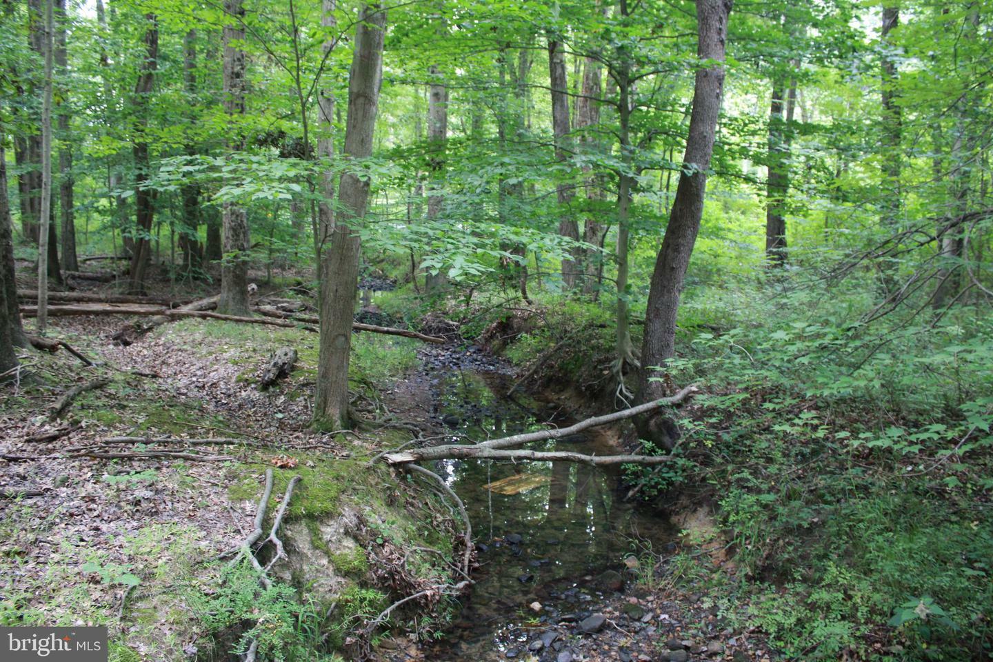 Property Photo:  Conowingo Road  MD 21034 