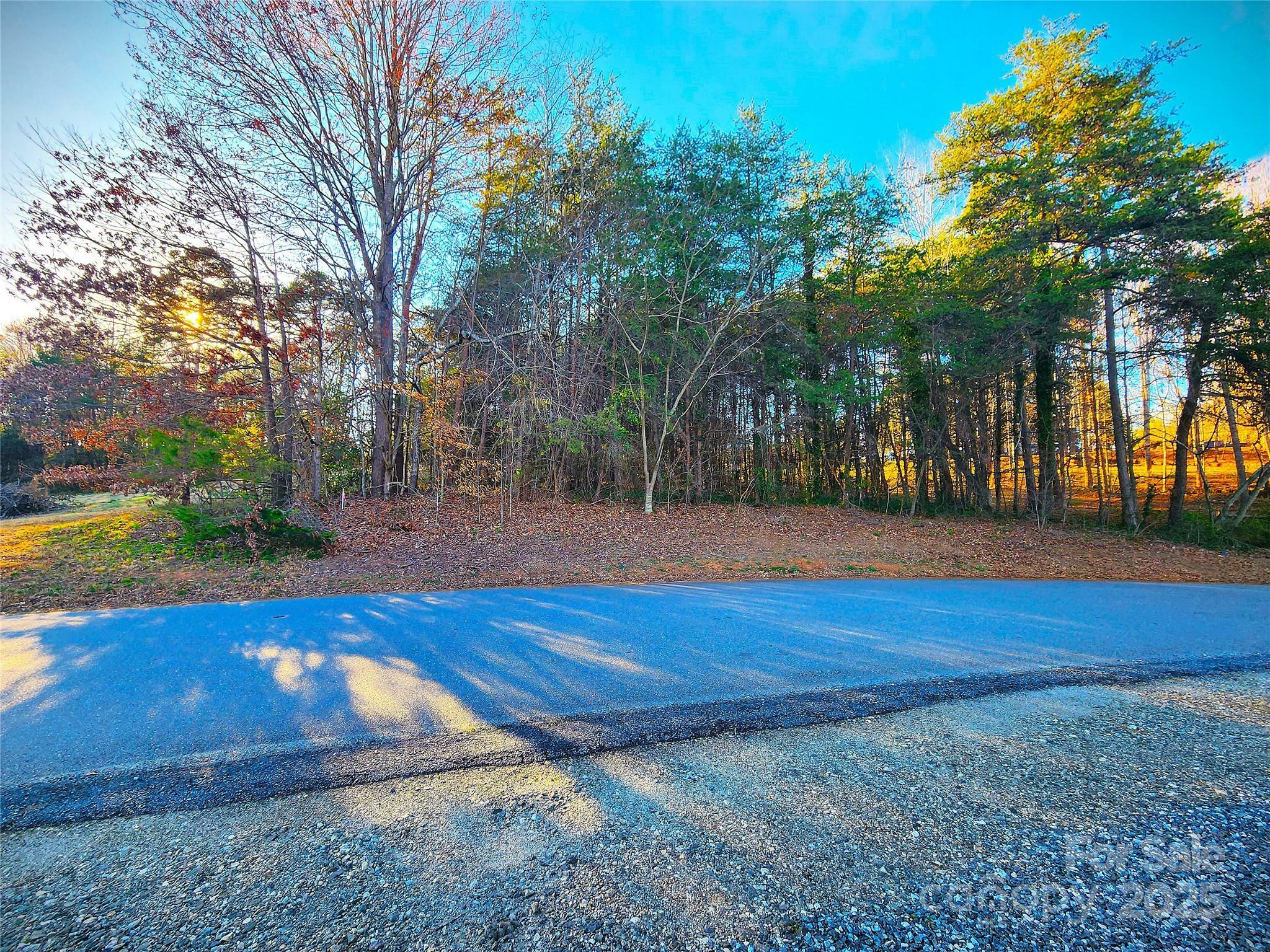 Property Photo:  287 Ben Eller Lane  NC 28681 