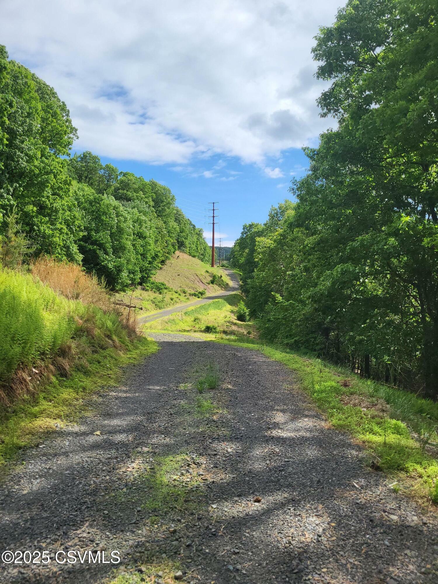 Property Photo:  Mountain Road  PA 17872 