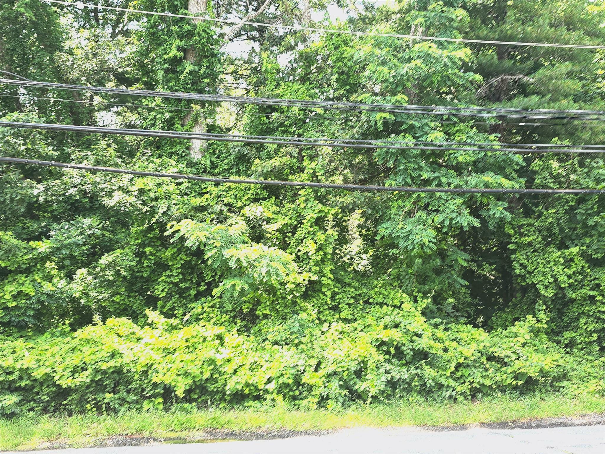 Property Photo: Vl Yaphank-Middle Island Road NY 11980