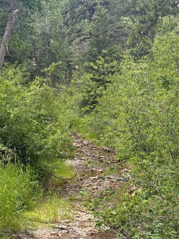 Property Photo: Nhn Little Wolf Creek Road MT 59648