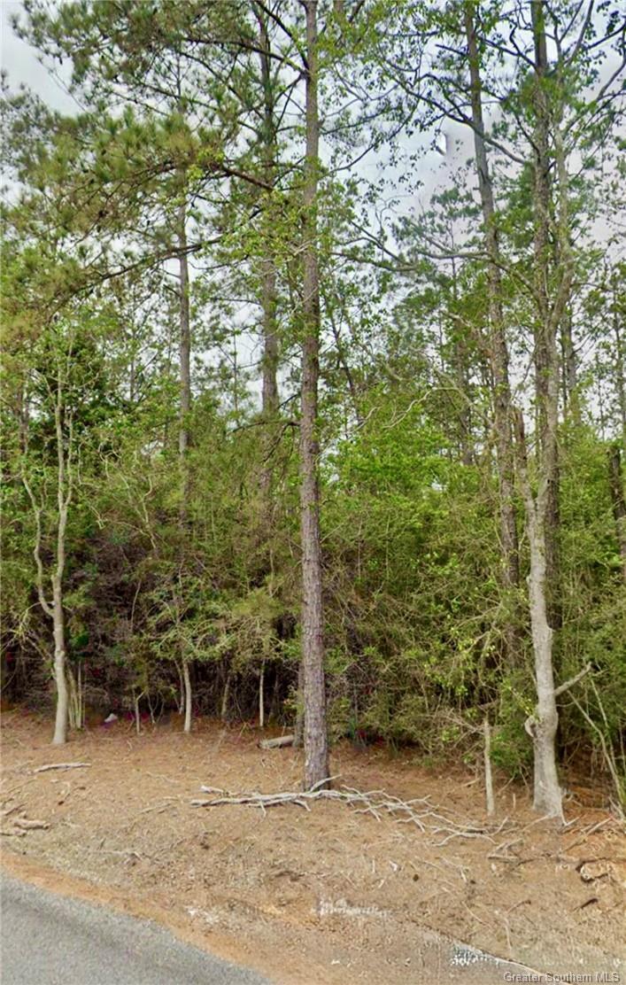 Property Photo:  0 Sandy Lane  LA 70633 