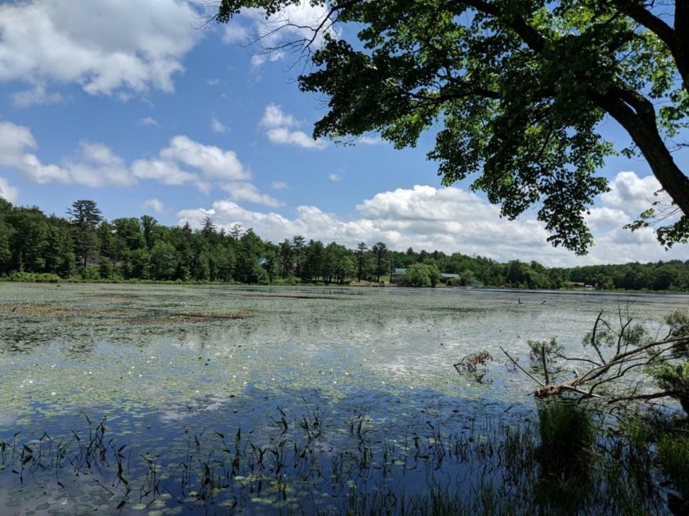 Lot 9.1 Elle Drive  Glen Spey NY 12737 photo