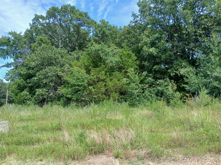 County Road 1260  Dustin OK 74839 photo