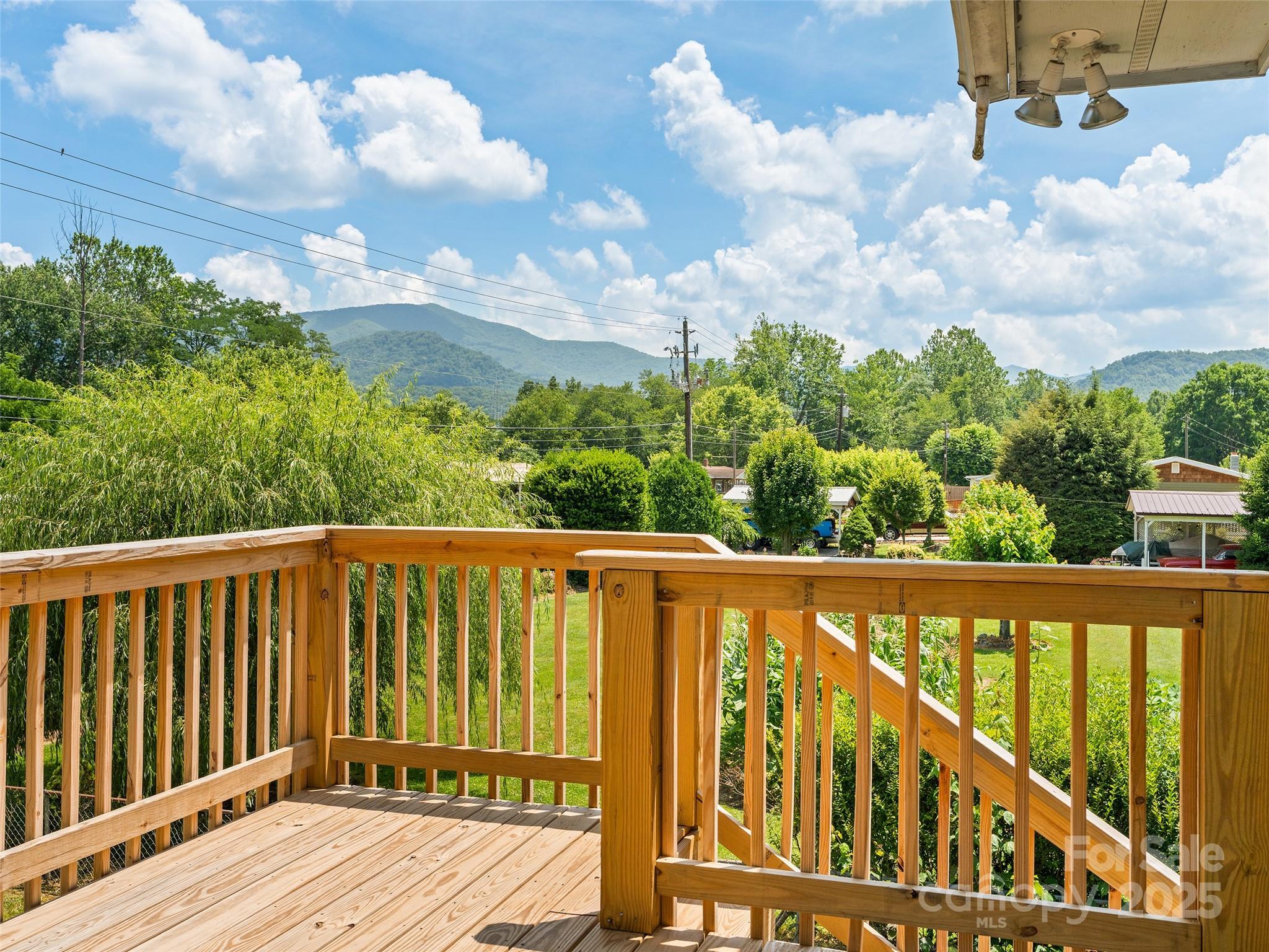 Property Photo:  228 Hyatt Street  NC 28786 